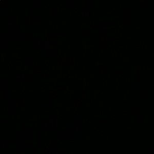 Meet your Posher, Jasleen